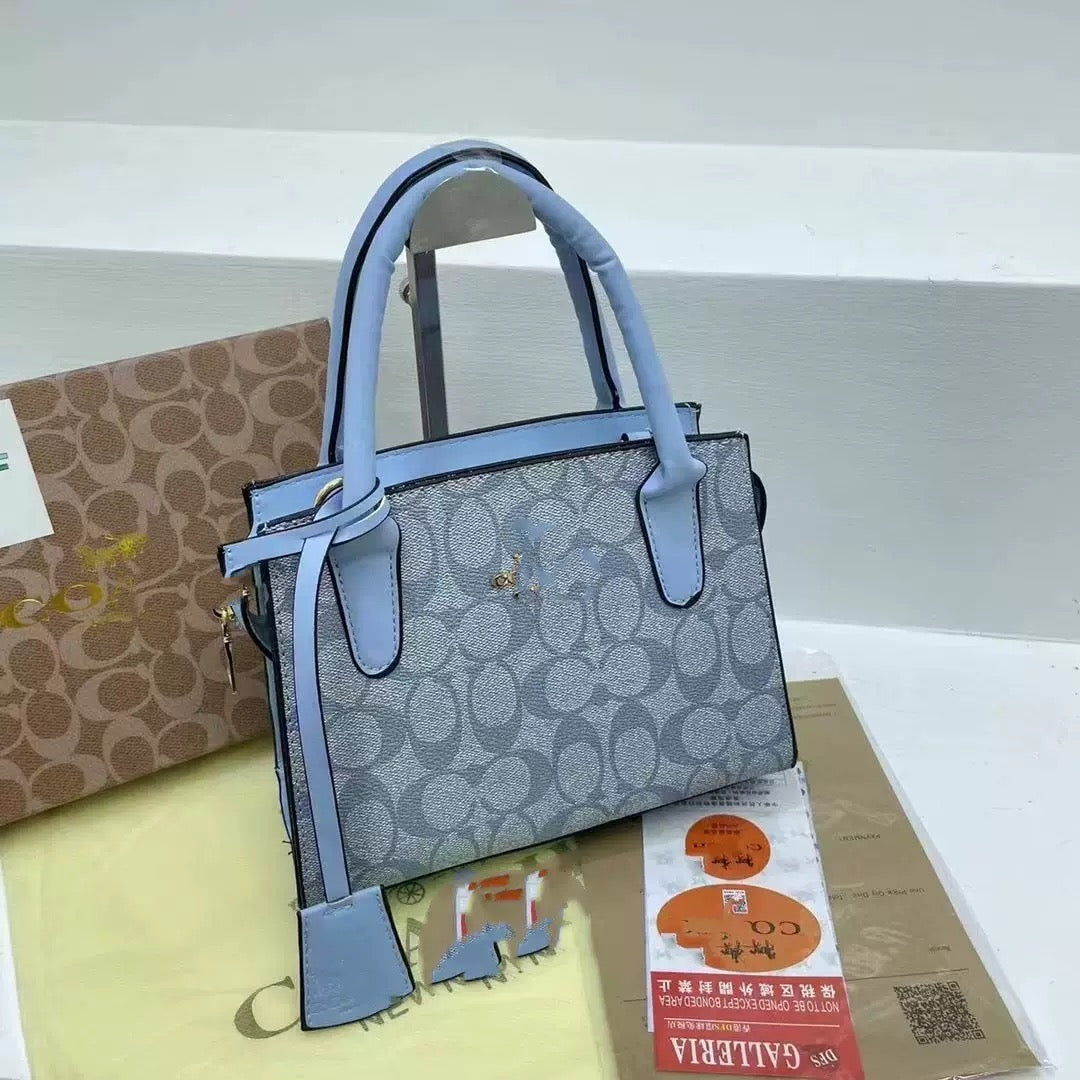 Coach Andrea Carryall